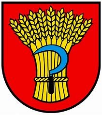 Wappen Moehlin